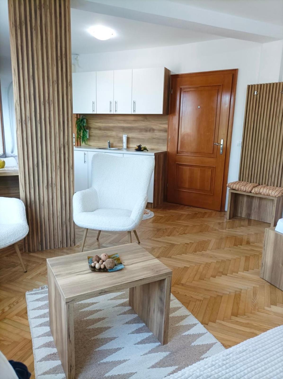 Rajska Banja Apartment