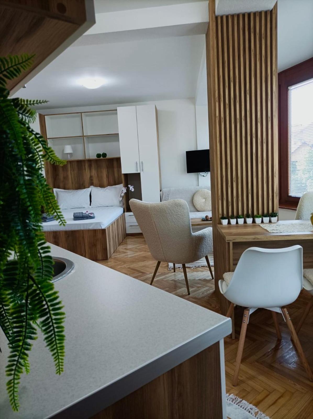 Rajska Banja Apartment Vrnjacka Banja